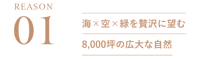 REASON01：海✕空✕緑を贅沢に望む8,000坪の広大な自然