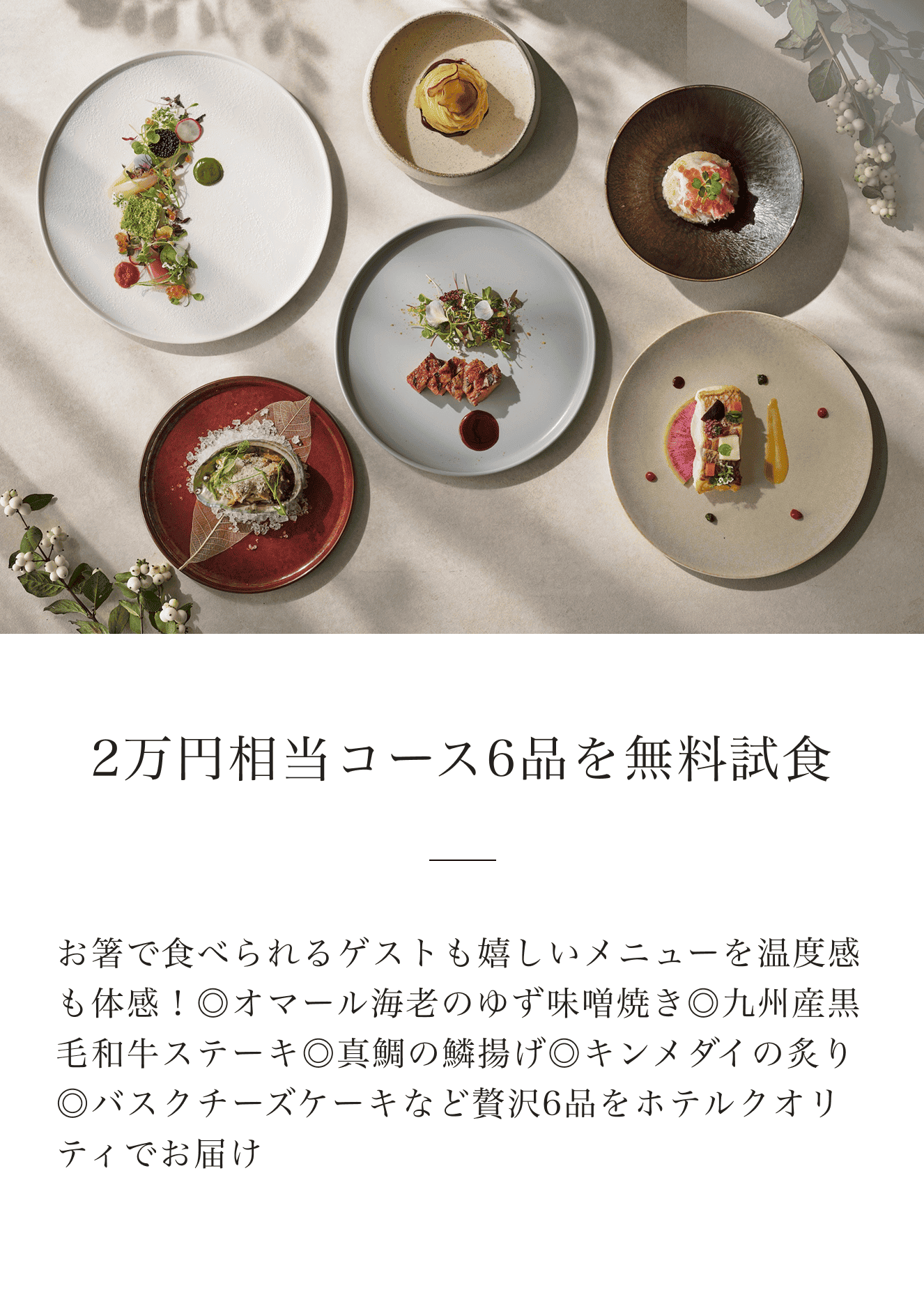 3万円相当コース6品を無料試食