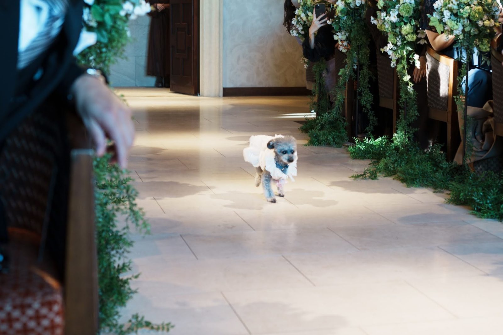 PETCEREMONHY